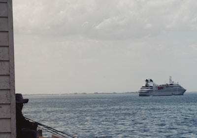 A person sits on a dock, fishing with a rod while a large cruise ship sails in the background over the calm ocean waters. The sky is partly cloudy, and the scene conveys a sense of tranquility and leisure.